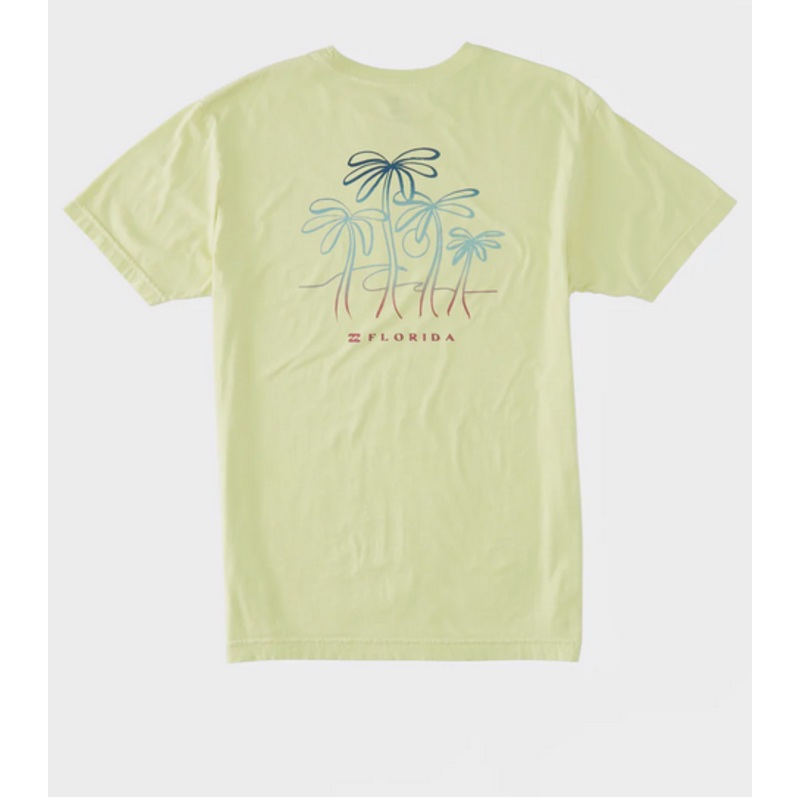 Billabong Mens Short Sleeve Logo T Shirt Florida Breeze Green Small