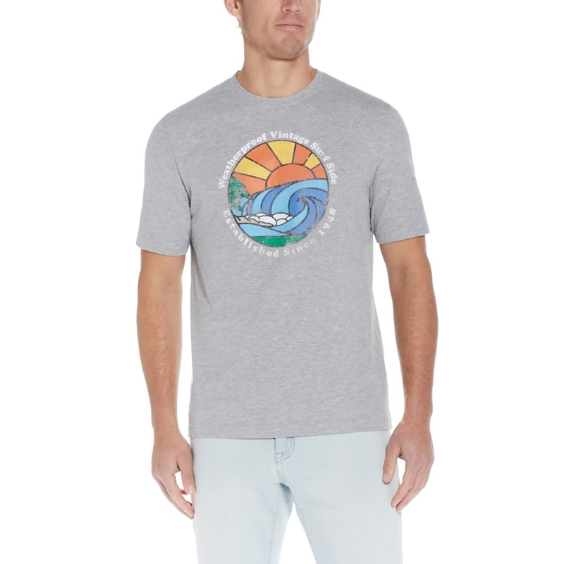 Weatherproof Vintage Men's Graphic Short Sleeve T Shirt Grey Large