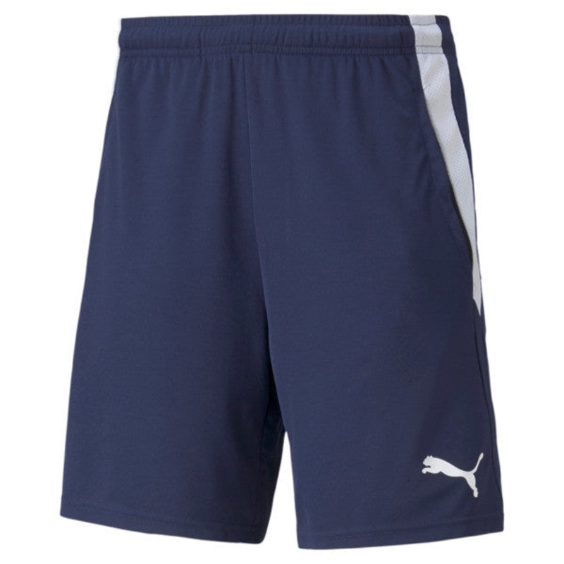 PUMA Teamsport Mens Mid Rise Moisture Wicking Workout Shorts Blue Large