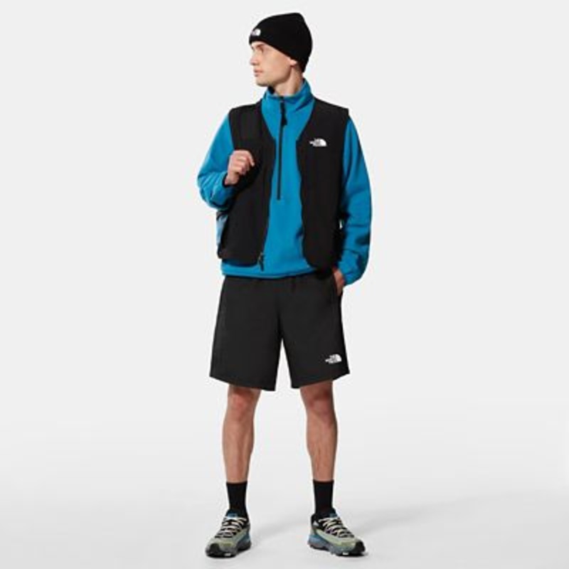 The North Face Men's Hydrenaline Water-Repellent 2000 Shorts Black XL
