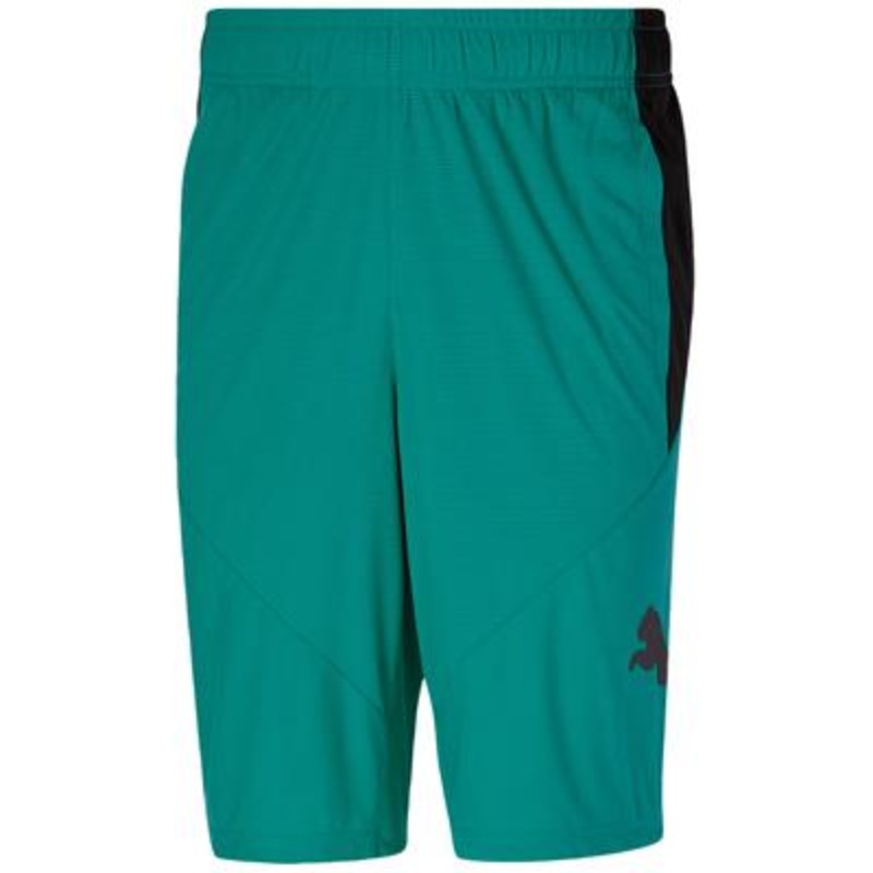 Puma Mens Colorblocked Logo Athletic Shorts Aqua Black Large